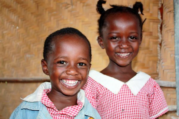 congo rencontre avec les gorilles