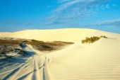 Dunes et plages du Nordeste