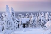 Nouvel An en Laponie - Vacances nordiques à l'Aurora Chalet
