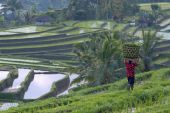 Java-Bali : so light Indonesia !