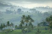 Séjour en Indonésie : Bali c'est fou !