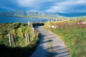 Irlande secrète - Par les routes de campagne...