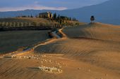 Un amour d'Italie entre Toscane et Ombrie