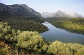 La Sardaigne - Criques du nord et lagunes du sud