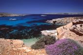 Gozo, plongée au coeur de la Méditerranée