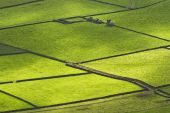São Miguel - Une île grandeur nature