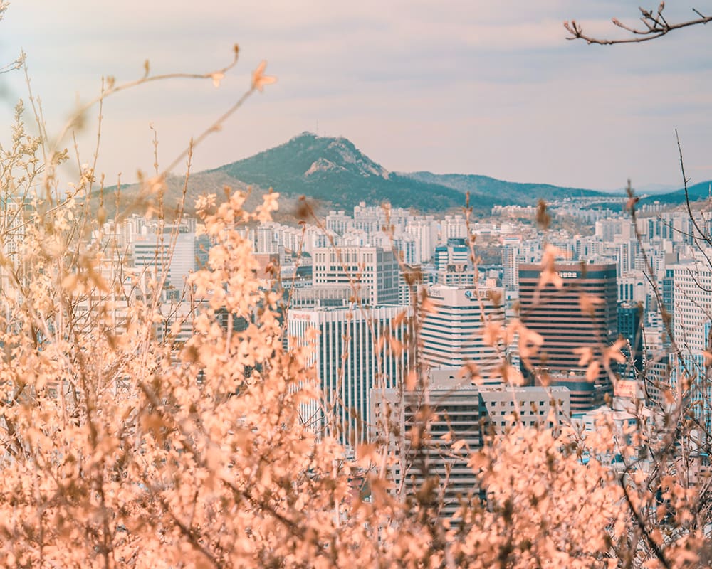 Vue panoramique sur Séoul
