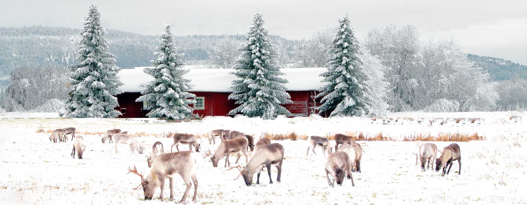 Voyage en Finlande avec Voyageurs du Monde