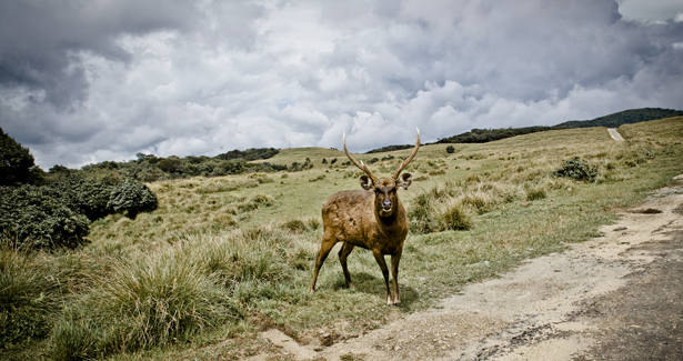 Voyage Horton Plains