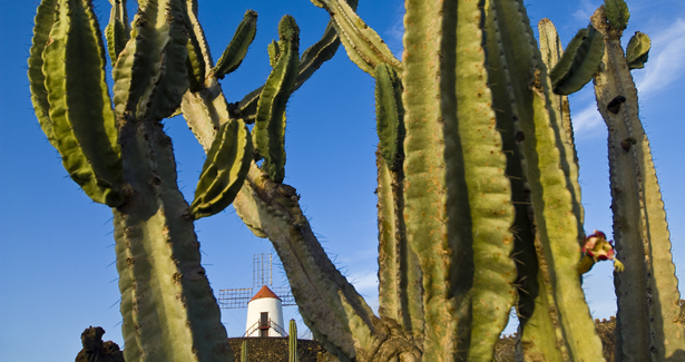 Voyage Lanzarote