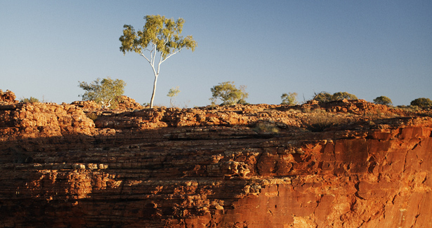 Voyage Kings Canyon