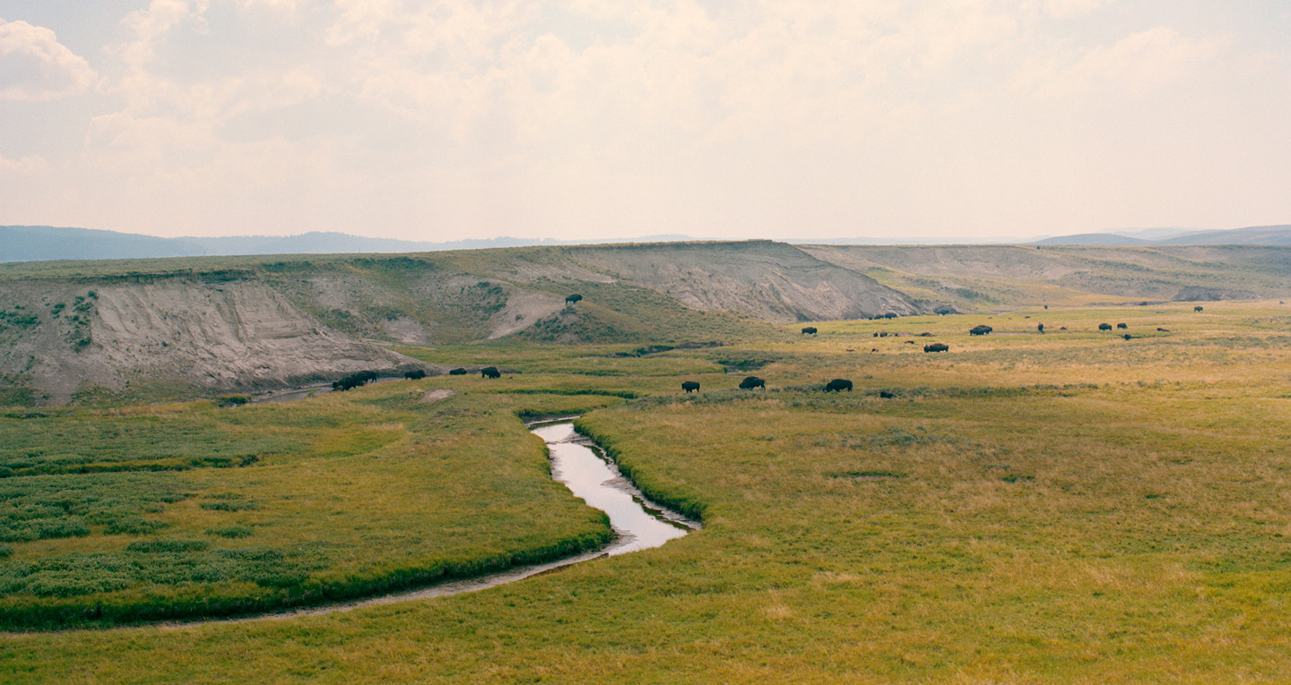 Voyage Wyoming