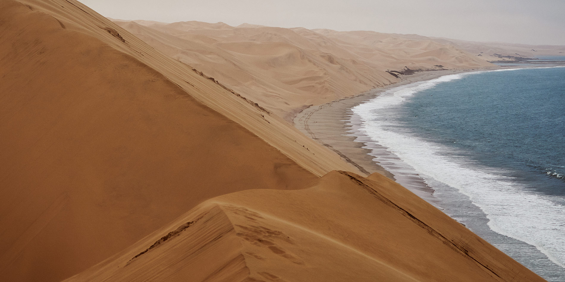 désert de namib