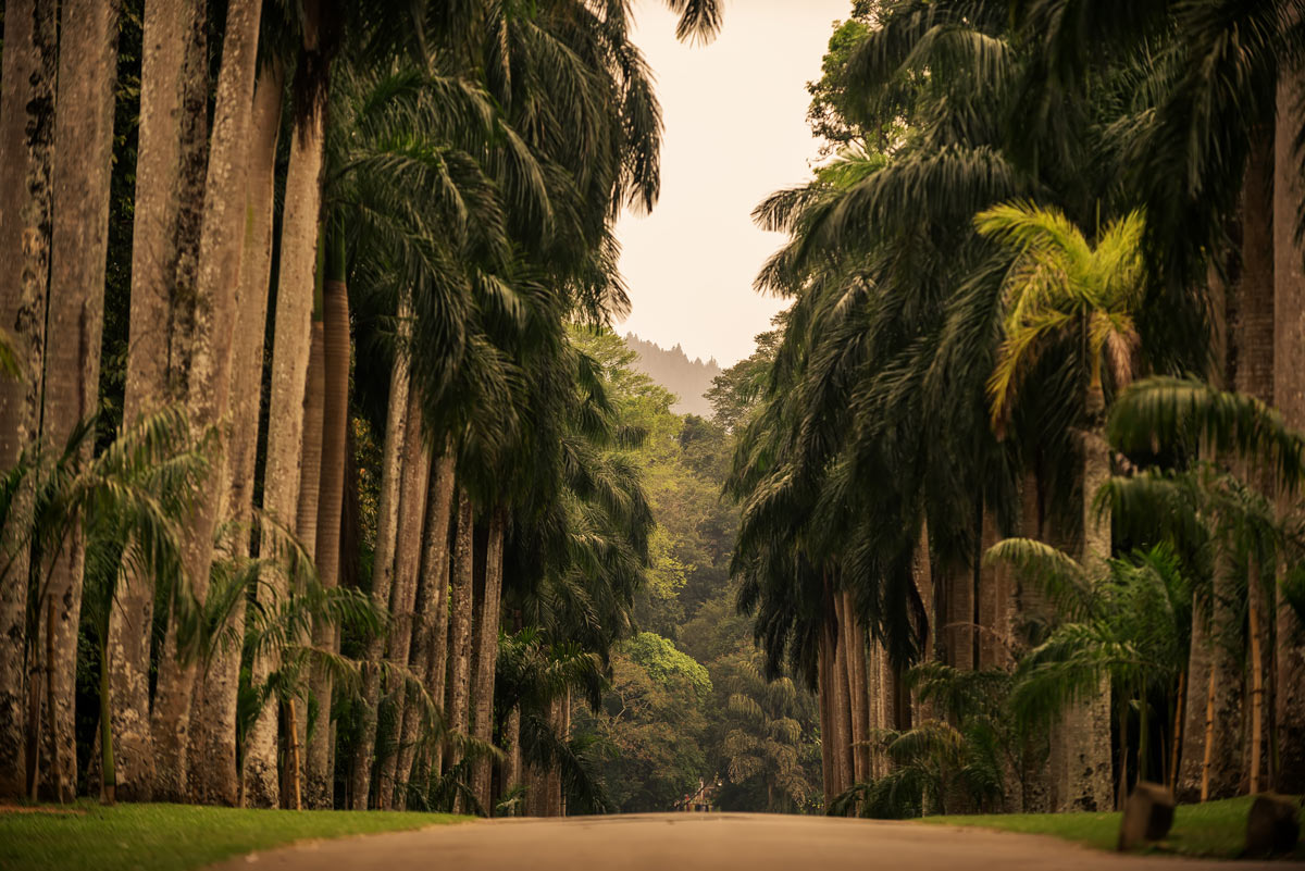 Voyage Autotour Sri Lanka