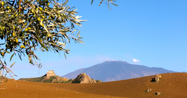 Voyage Etna