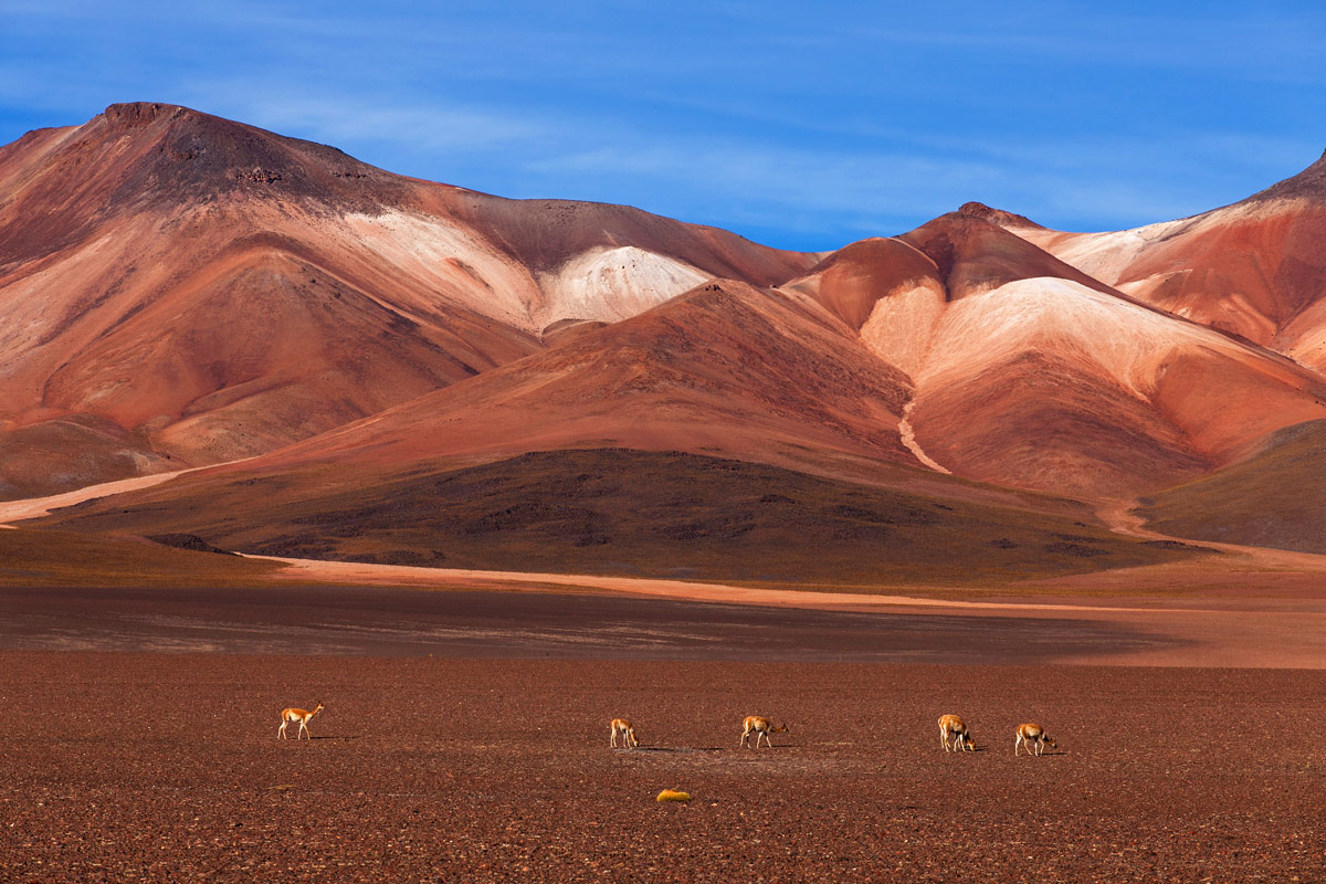Voyage L'Altiplano