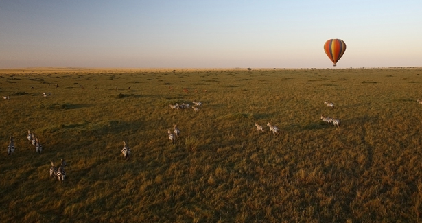 Voyage Masaï Mara