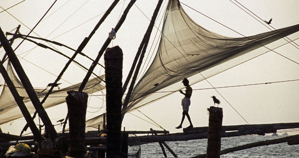 Voyage Backwaters