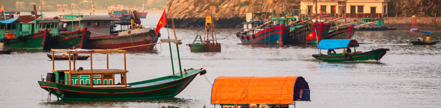 Voyage Baie d'Halong