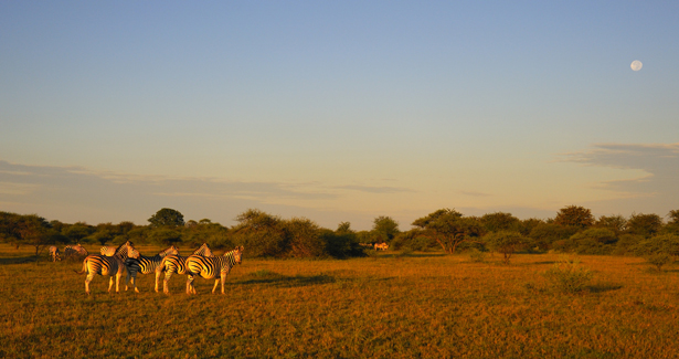 Voyage Afrique Australe