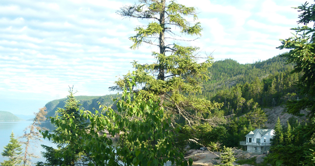 Voyage Tadoussac