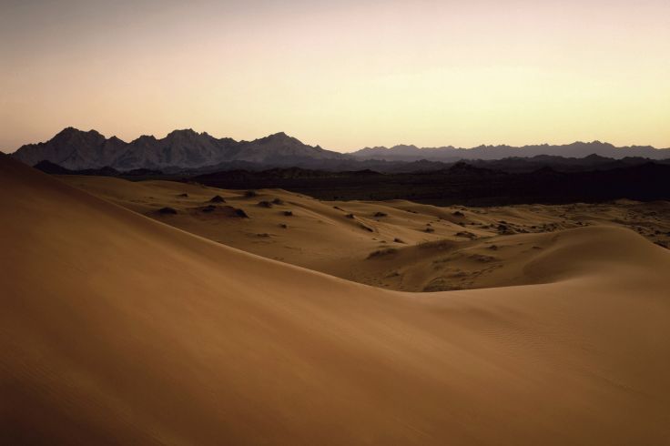 Emirats Arabes Unis