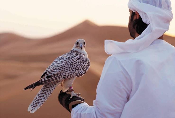 Fauconnerie - Abou Dhabi - Émirats Arabes Unis