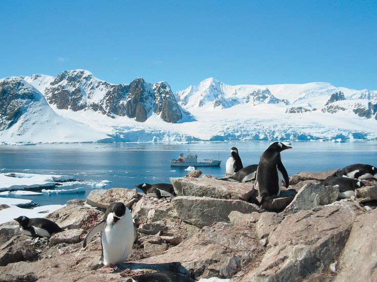 Antarctique