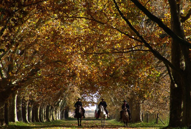 San Antonio de Areco - Argentine