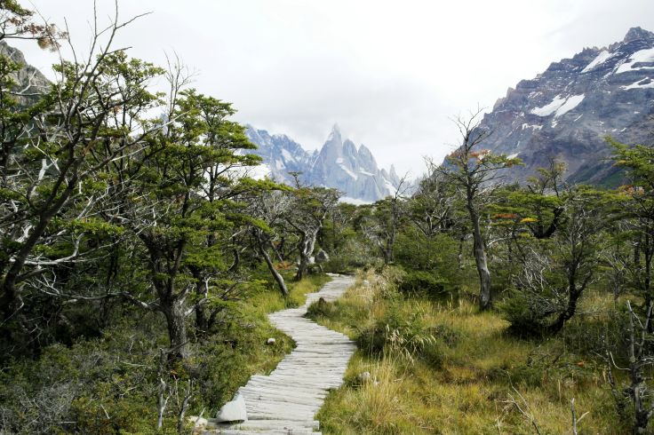 Le Cerro Torre dans le Parc national des glaciers - Argentine