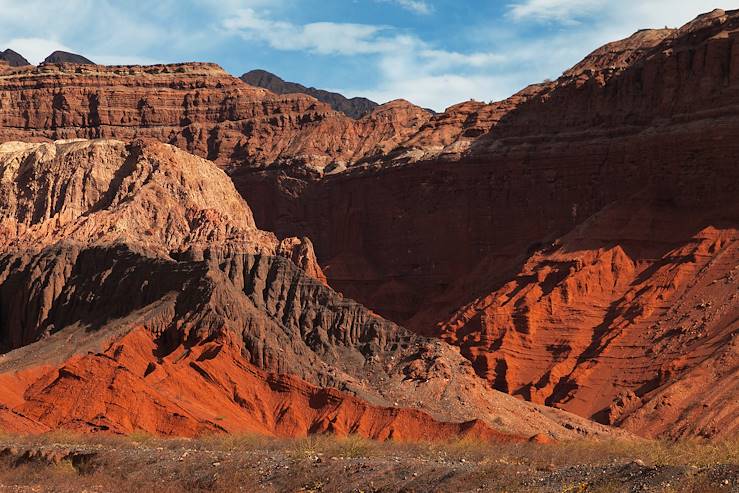 Région d'El Cafayate - Salta - Argentine