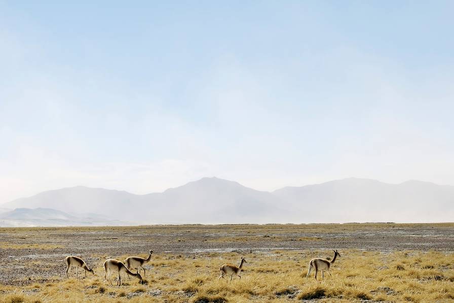 Province de Jujuy - Argentine