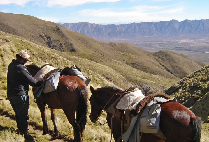 Randonnée à cheval - Parc national Los Cardones - Province de Salta - Argentine