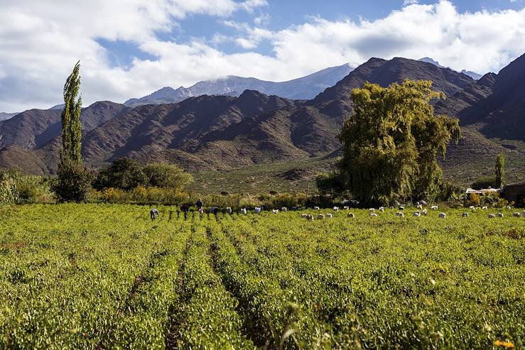Région de Salta - Argentine