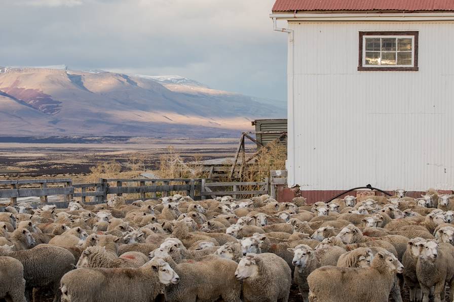 Patagonie - Argentine