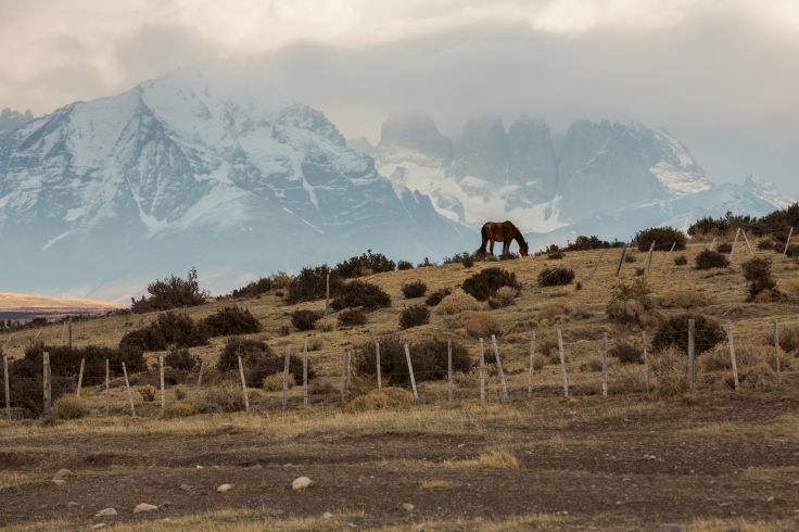 Parc national Torres del Paine - Patagonie - Argentine