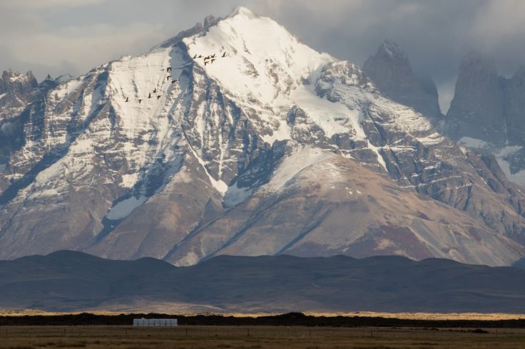 cordillère des andes