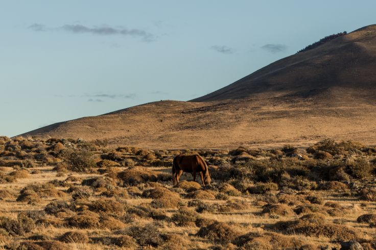 Patagonie - Argentine