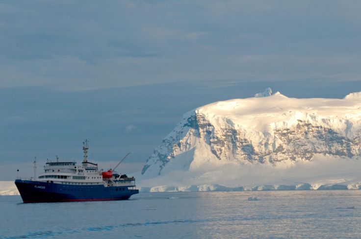 Le Plancius - Antarctique