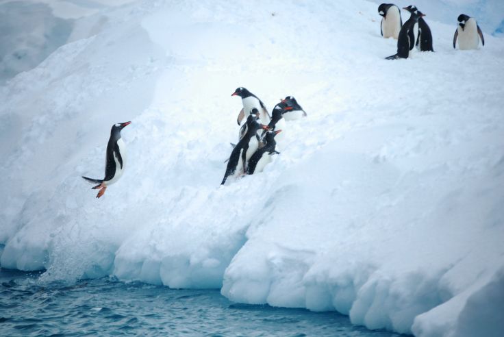 Antarctica XXI - Aéro-croisière en Antarctique