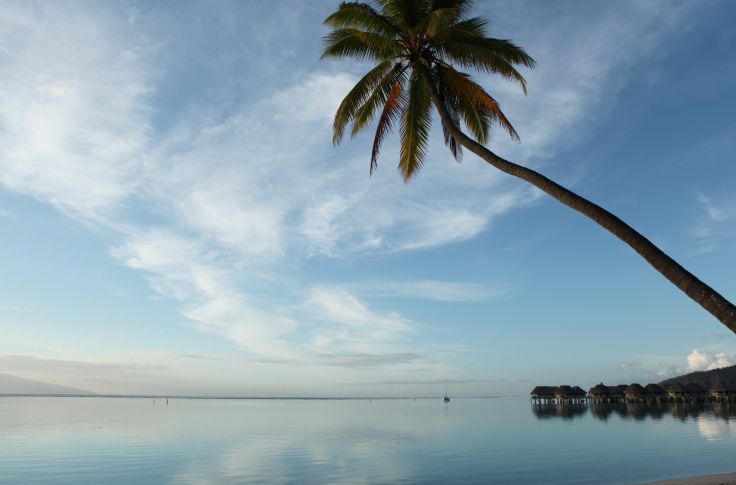 Moorea - Polynésie