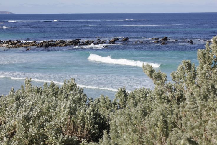 Kangaroo Island - Australie du Sud - Australie