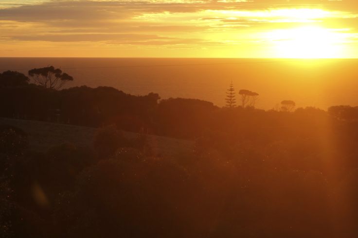 Kangaroo Island - Australie du Sud - Australie