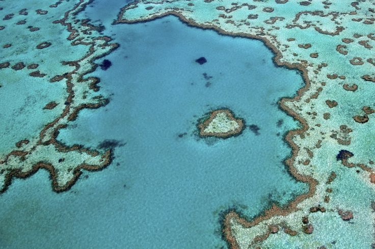 Grande barrière de corail - Queensland - Australie