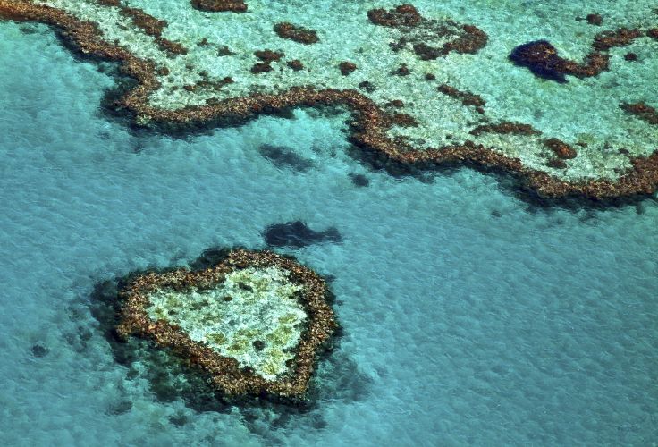 Grande barrière de corail - Queensland - Australie