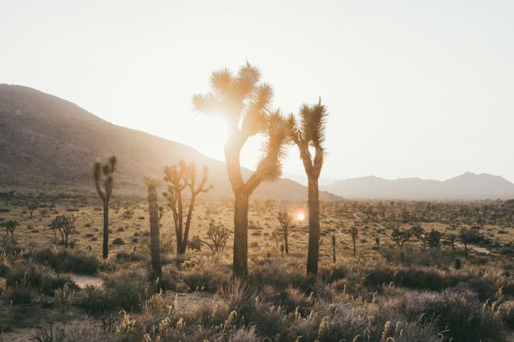 Californie - Etats-Unis