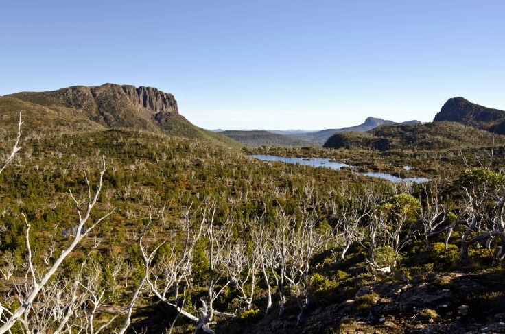 Parc national de Cradle Mountain-Lake St Clair - Tasmanie - Australie