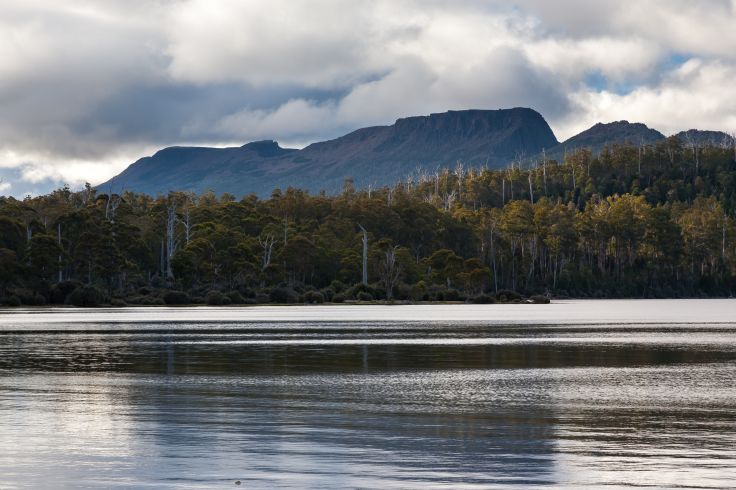 Parc national de Cradle Mountain-Lake St Clair - Tasmanie - Australie