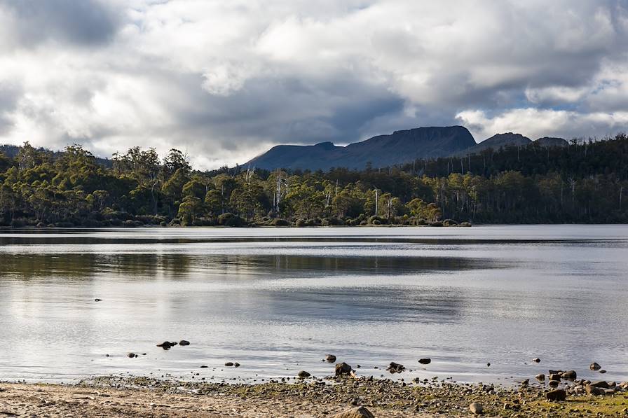 Parc national de Cradle Mountain-Lake St Clair - Tasmanie - Australie