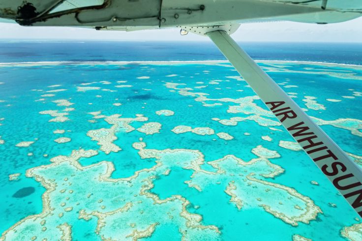 Grande Barrière de Corail - Australie